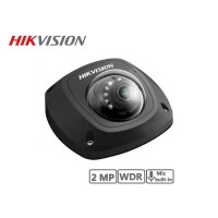 Hikvision 2MP Mini-Dome Network Camera